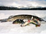 Зимняя рыбалка становится проще