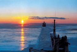 Залив Петра Великого становится богаче на биоресурсы
