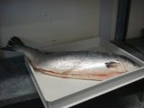 Вещь недели: Норвежский лосось