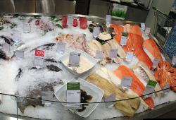 «Русская рыба» поможет изменить мнение потребителей