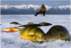 Специфика рыбалки в зимний период
