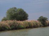 Рыбалка на Яузском водохранилище: отзывы и фото туристов
